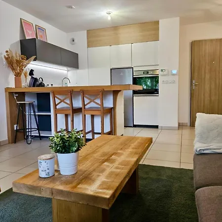 Appartement T2 élégant Avec Terrasse Proche Du Du Bourget *